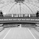 Illustration for article titled The Astrodome Is Now In The Historic Register, Still Might Be Doomed